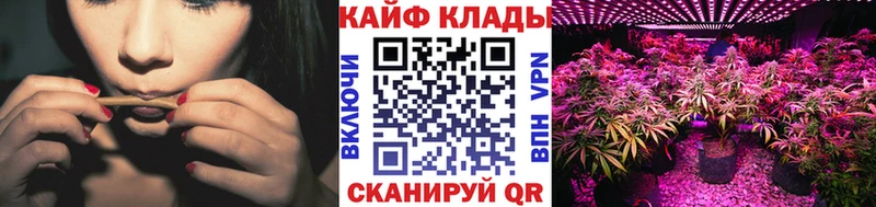 Как найти наркотики Городец ГАШ  МАРИХУАНА  COCAIN  Галлюциногенные грибы  Меф 
